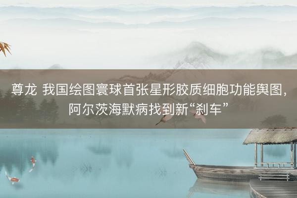 尊龙 我国绘图寰球首张星形胶质细胞功能舆图，阿尔茨海默病找到新“刹车”