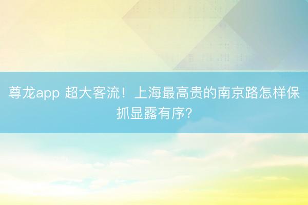 尊龙app 超大客流！上海最高贵的南京路怎样保抓显露有序？