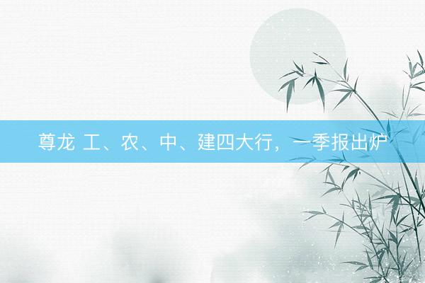 尊龙 工、农、中、建四大行，一季报出炉