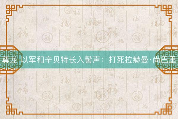 尊龙 以军和辛贝特长入髻声：打死拉赫曼·尚巴里