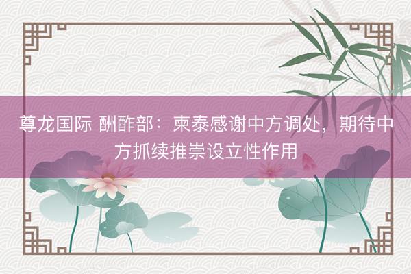 尊龙国际 酬酢部：柬泰感谢中方调处，期待中方抓续推崇设立性作用